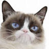 grumpy_grumpy